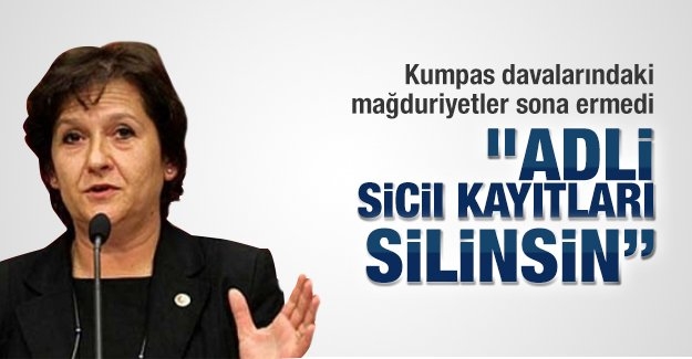 Birgül Ayman Güler: Adli sicil kayıtları silinsin