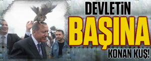 Devletin başına konan kuş!