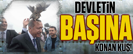 Devletin başına konan kuş!