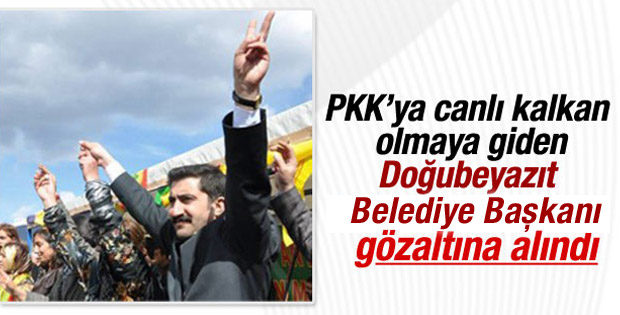 HDP’li başkan PKK’ya kalkan olmaya giderken yakalandı