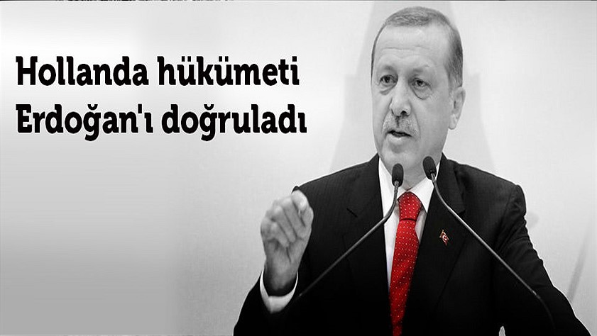 Hollanda hükümeti Erdoğan’ı doğruladı, Hollanda hükümeti kirizde