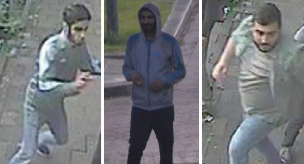 dordrecht pkkli teroristler