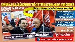 Avrupalı Ülkücüler MHP’deki Akşener muhalefetine “FETÖ projesi ve vatan haini” diyerek ağır yüklendi, Başkanlığa tam destek verdi