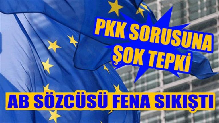 AB sözcüsü PKK sorusuna cevap veremedi