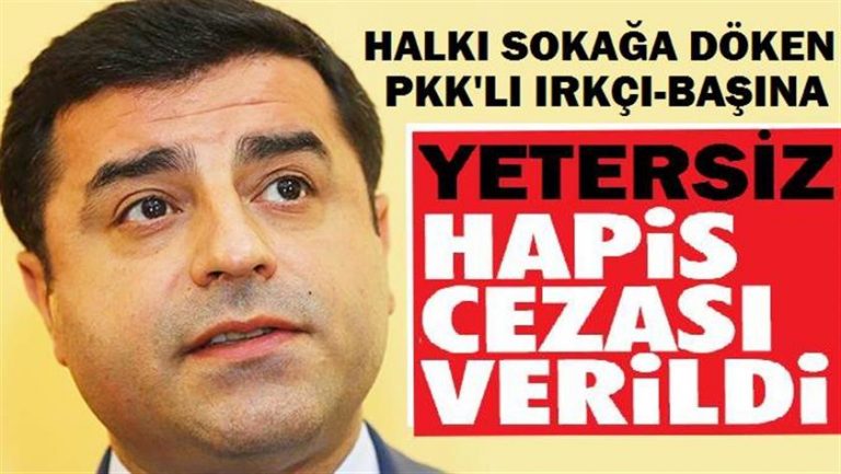 Demirtaş sadece 5 ay hapis cezasıyla kurtulmamalı!
