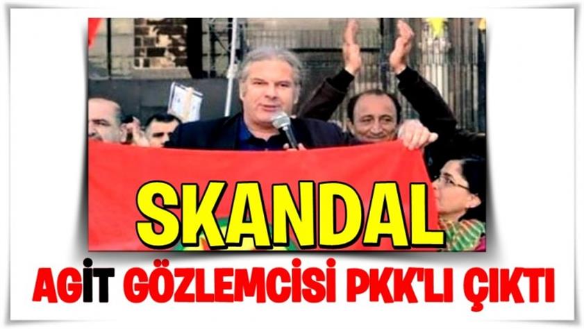 AGİT’in gözlemcisi PKK’lı çıktı