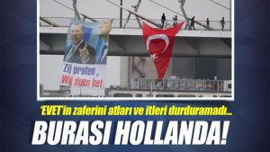 Hollanda’da referandum kutlaması