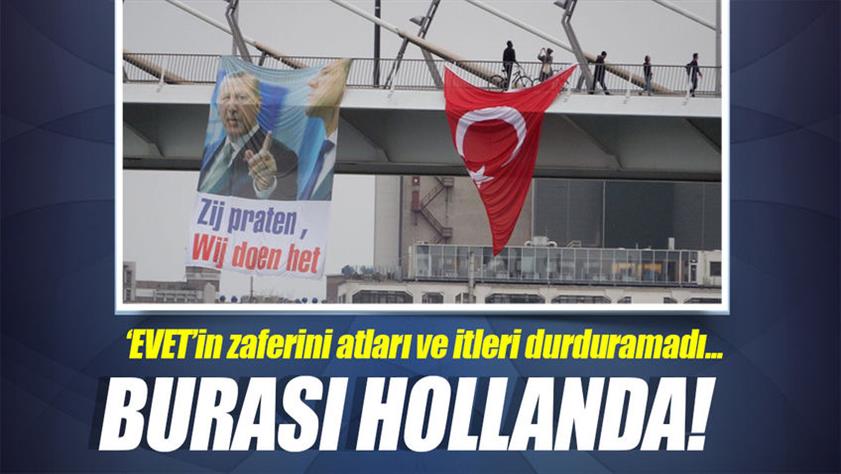 Hollanda’da referandum kutlaması