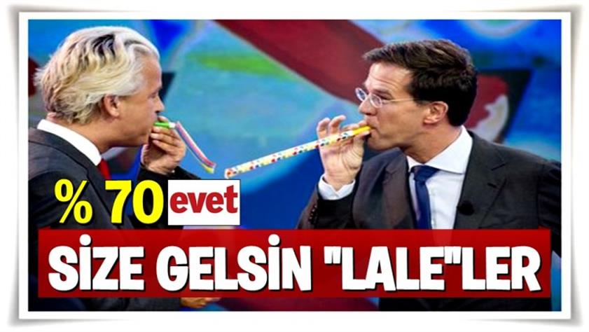 Hollanda’da ‘evet’ oylarının ezici üstünlüğü