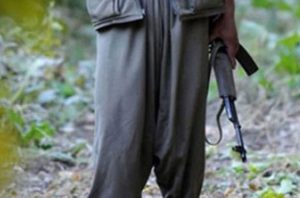 Gri listede yer alan 2 terörist  etkisiz hale getirildi