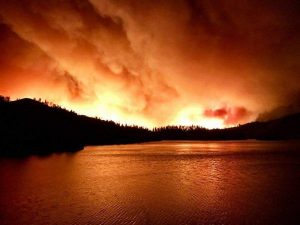Kaliforniya’daki yangın Ulusal Parkı kapattırdı