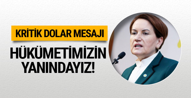 Meral Akşener’den dolar açıklaması hükümetin yanındayız!