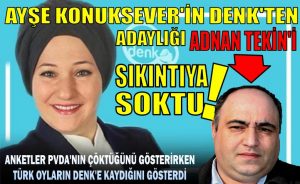 Hollanda’da 2019 seçimleri; Noord-Holland eyaletinde yapılan çarpıcı ankette neler var?