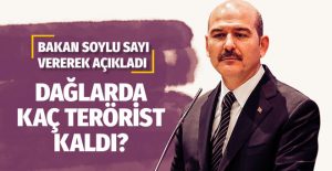 Bakan Soylu: Dağlarda 15 bin kişi vardı, 700 kişi kaldı