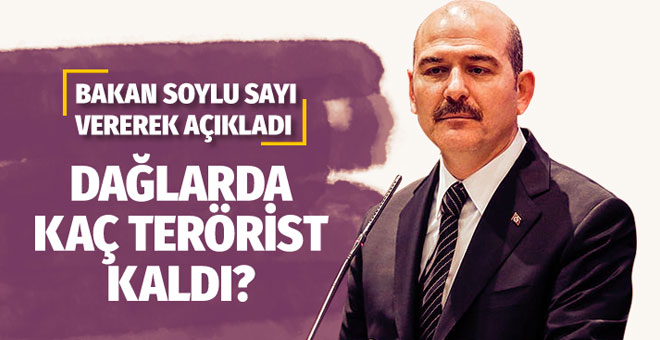 Bakan Soylu: Dağlarda 15 bin kişi vardı, 700 kişi kaldı