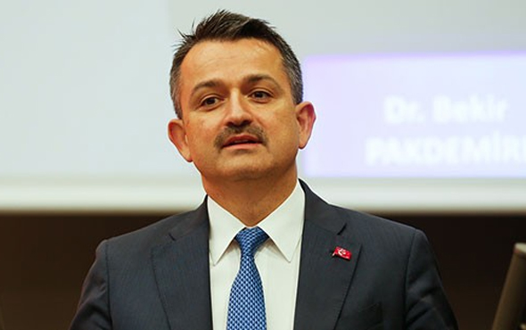 Hükümetten sera çiftçisine 30 milyon lira tazminat