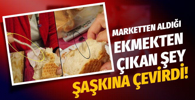 Marketten aldığı ekmekten çıkan şey şaşkına çevirdi!