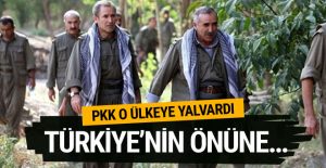 PKK o ülkeye yalvardı! Türkiye’ye izin vermeyin