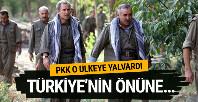 PKK o ülkeye yalvardı! Türkiye’ye izin vermeyin