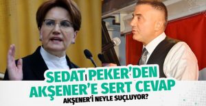 Sedat Peker’den Meral Akşener’e çok sert cevap