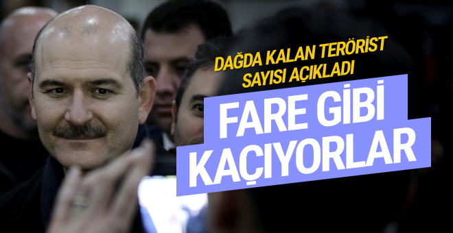 Süleyman Soylu dağdaki terörist sayısı açıkladı