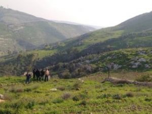 Ürdün’de iki mayın patladı: 3 ölü, 6 yaralı