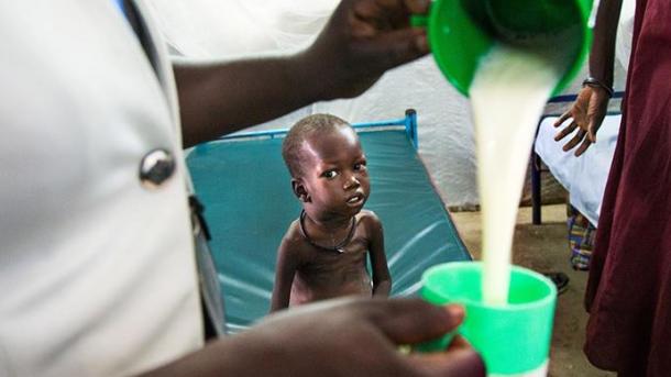 Afrique : 281,6 millions de personnes étaient sous-alimentées en 2020 (Rapport)