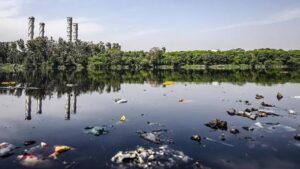 La UE sancionará severamente los crímenes contra el medioambiente